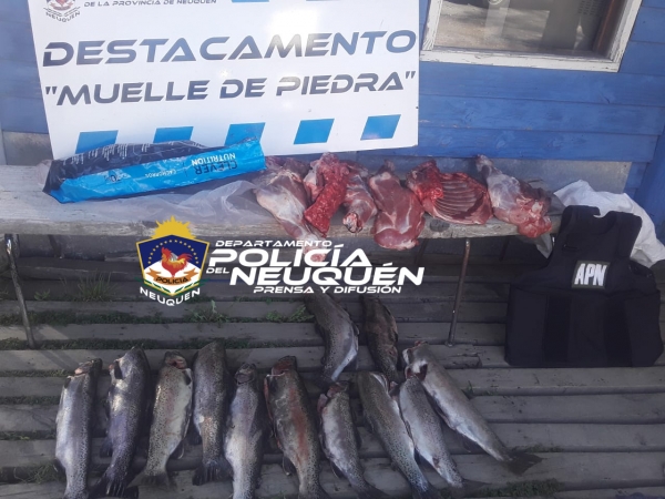 Dos demorados por caza furtiva y secuestro de carne silvestre