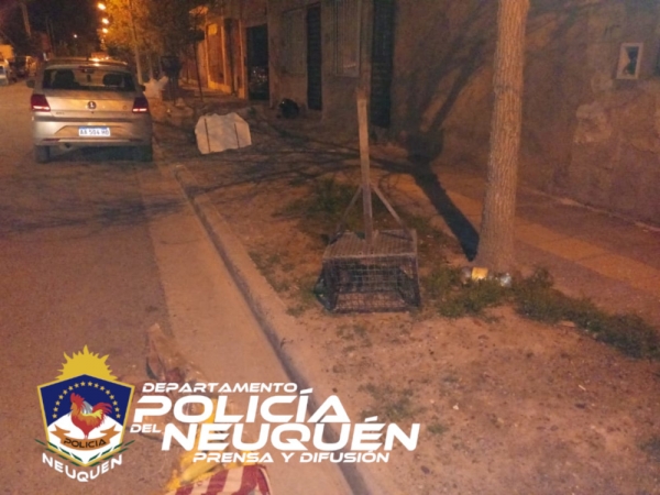 Rápido accionar policial permite demorar a un hombre que acababa de robar un canasto