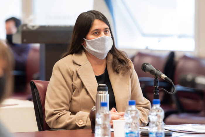 Consultan por construcción de hogar de protección de mujeres en situación de violencia en Zapala