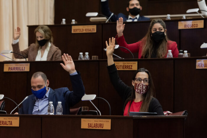 Interés legislativo a la campaña nacional “Cuidar en igualdad”