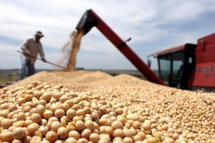 El precio de la soja superó los US$430 en Chicago y en lo que va del mes sube más de US$45