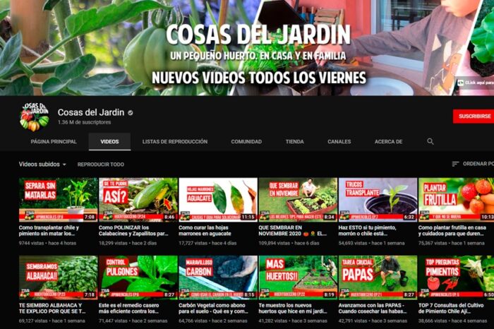 YouTube: la Argentina tiene 170 canales con más de un millón de suscriptores