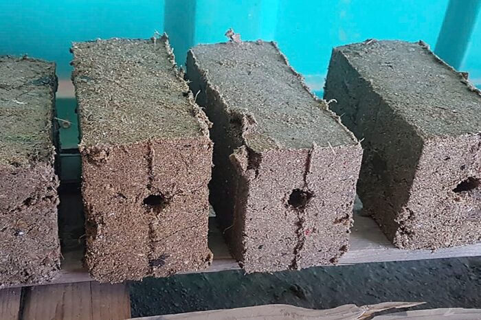 Premiaron un proyecto que produce leña reciclando cartón, papel, hojas, aserrín y viruta