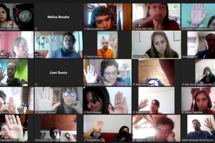 Sesionó el Co.Pro.Dis. de manera virtual