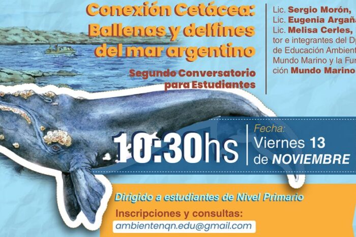 Educación invita a conversatorio sobre conexión cetácea