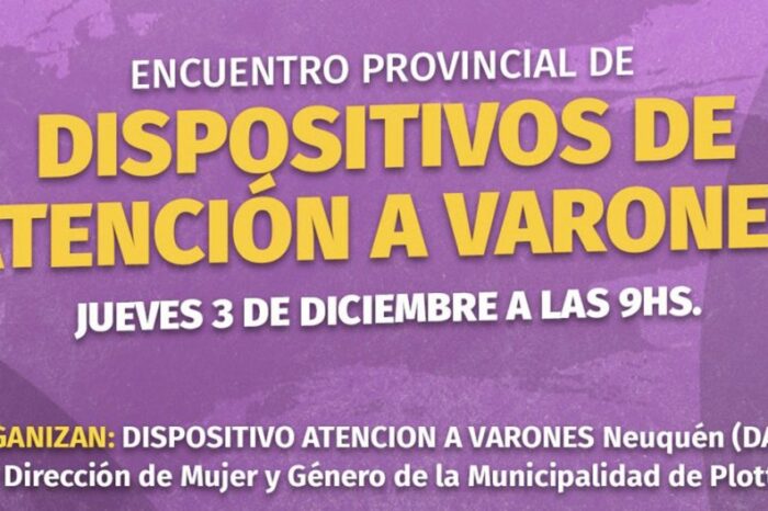 Primer encuentro provincial de Dispositivos de Atención a Varones Neuquén 2020