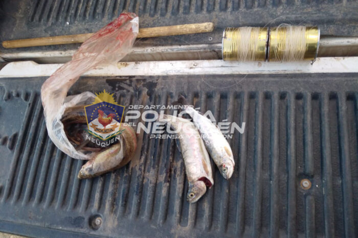 Junín de los Andes: operativo de prevención permite detectar pesca furtiva