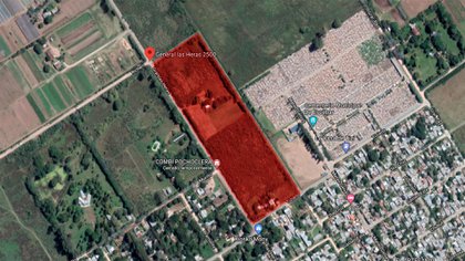 Le usurparon un terreno y el juez se negó a desalojarlo porque tiene el "pasto crecido"
