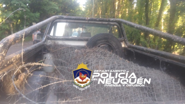 Dos hombres fueron demorados tras sustraer gran cantidad de tejido metálico