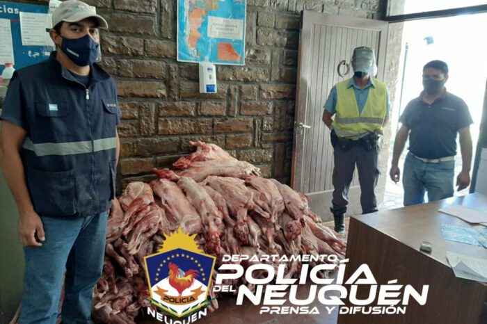 Barrancas: decomisaron 90 piezas de chivitos faenado