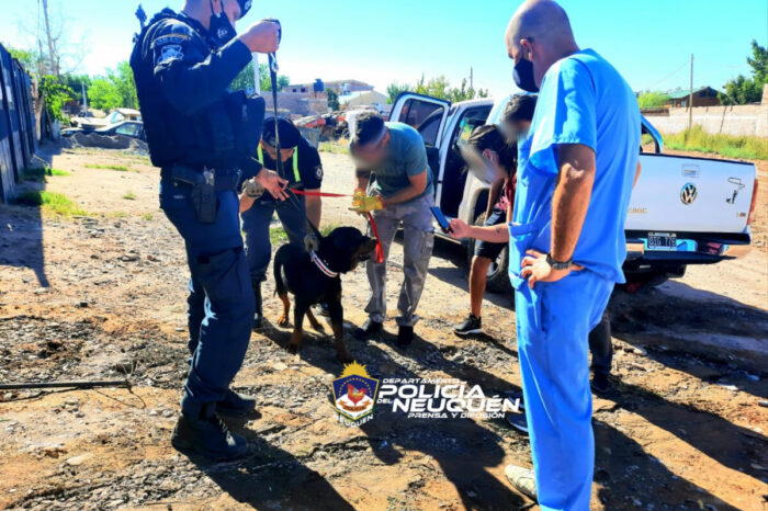 Personal policial rescata dos perros maltratados en el oeste neuquino
