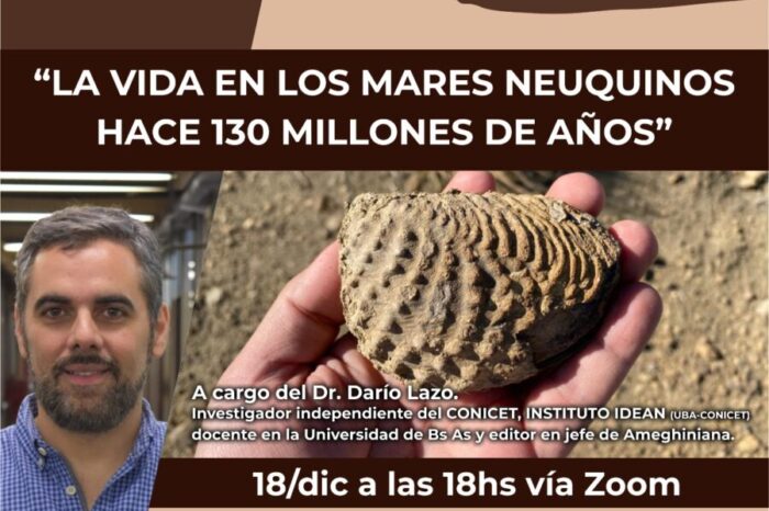 Invitan a conocer los mares neuquinos de hace 130 millones de años
