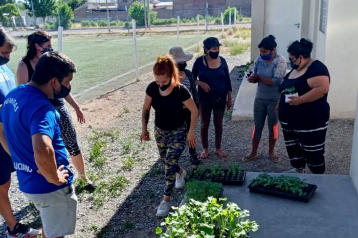 Educación y Producción e Industria avanzan en el fortalecimiento de la huerta pedagógica productiva