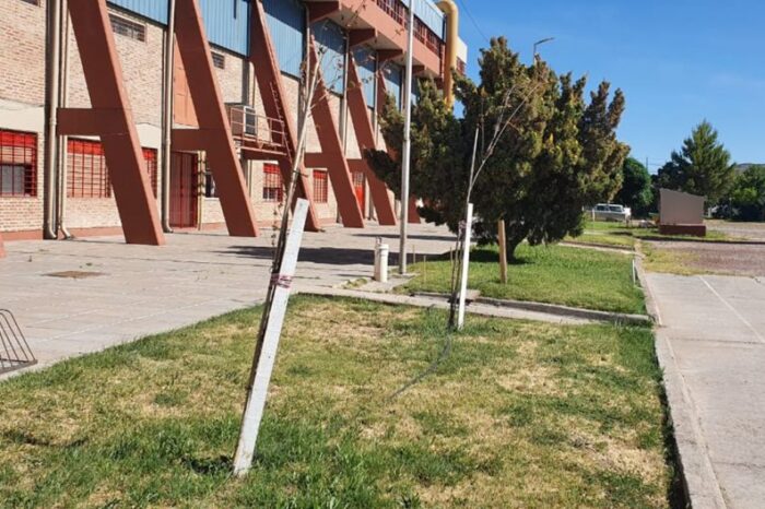 Forestación en el predio del estadio Ruca Che
