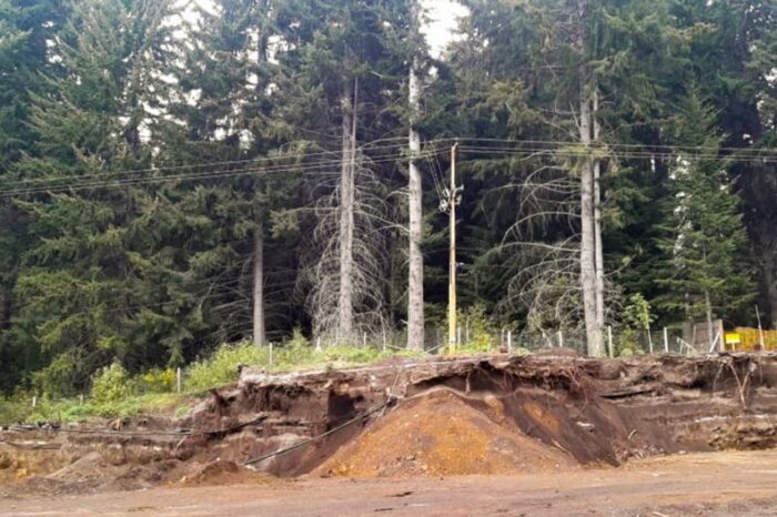 Corrimiento de líneas eléctricas en la Circunvalación de Villa La Angostura
