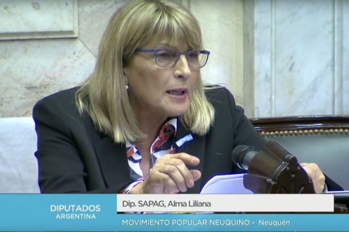 ¿Cómo fue la labor legislativa de la Diputada Alma "Chani" Sapag en este 2020?