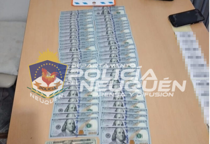 Buscaban elementos de un hecho delictivo, encontraron un invernadero de Marihuana y dólares