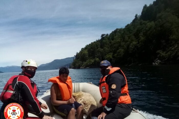 Bomberos Voluntarios evacuan a dos menores y una oveja en el Lago Lacar