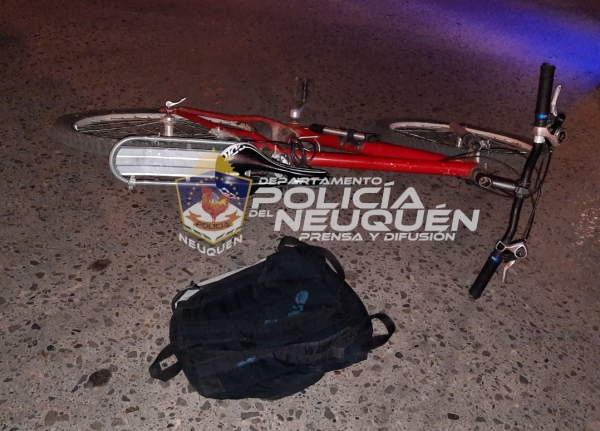 Rápido accionar policial permitió recuperar una bicicleta robada minutos antes