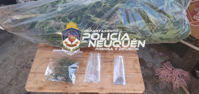 Secuestran sustancias estupefacientes en procedimiento policial