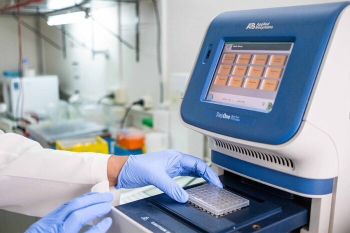 Descubren el rol clave de una proteína en el desarrollo de la septicemia, que evitaría muertes