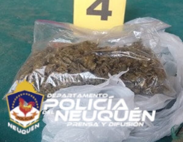 Secuestran marihuana en un allanamiento y demoran a dos sujetos