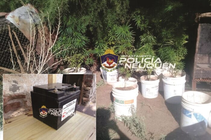 Plaza Huincul: Policía recupera una batería robada y secuestra marihuana en allanamiento