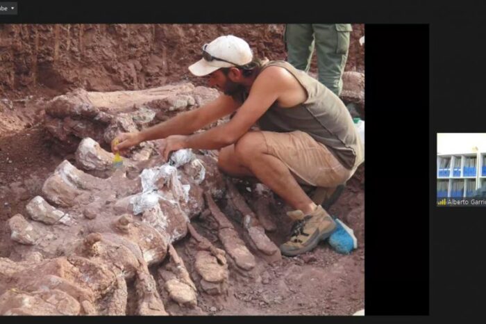 Destacan la labor del Museo Olsacher