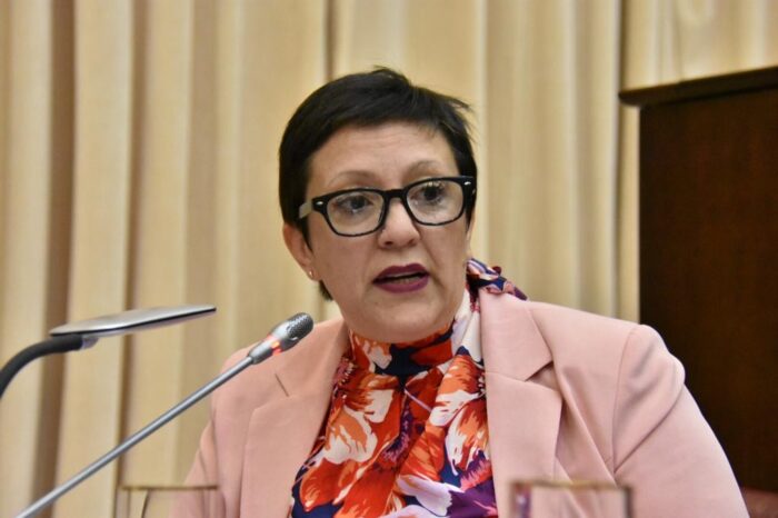 Destacan gestiones por el Tren Trasandino
