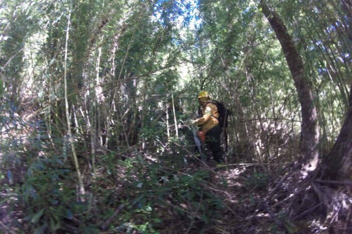 Brigadistas trabajan en un incendio en el Cerro Acol