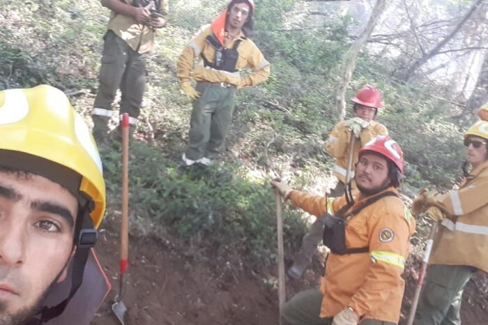 Suman mas brigadistas para combatir incendios cerca de El Bolsón