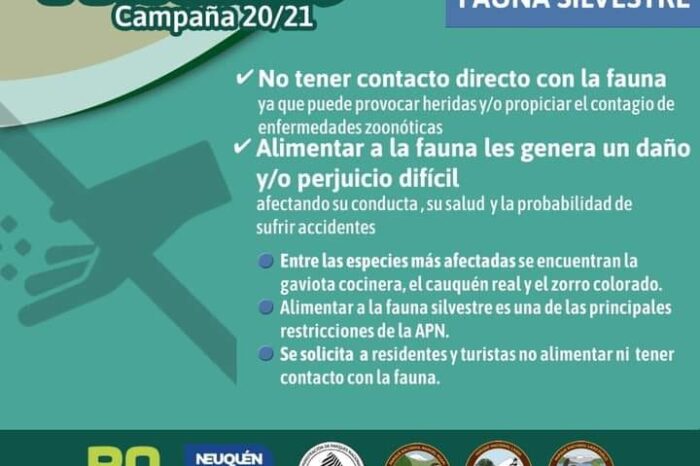 Campaña de prevención “Solo Huellas 20/21”No alimentar a la fauna silvestre