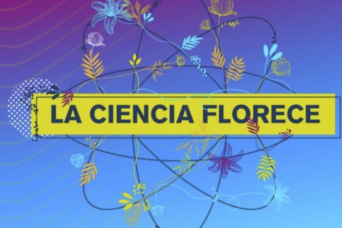 Científicos del Conicet explican a niñas y niños sus investigaciones con videos animados
