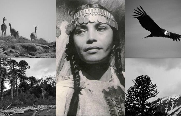Las marcas indelebles del abandono y un amor prohibido: la historia detrás de Aimé Paine, la princesa mapuche