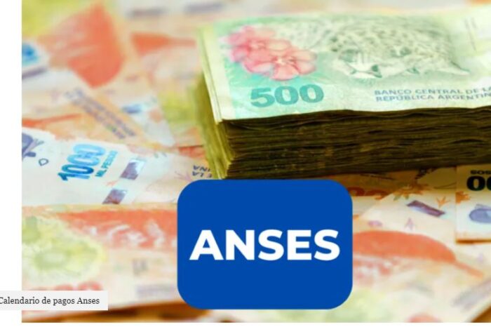 AUH, AUE, tarjeta alimentaria y jubilaciones: sin IFE, quiénes cobran hoy viernes 19 de febrero