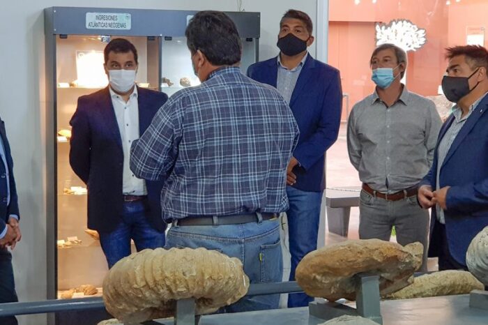 Más de 700 personas ya visitaron el Museo Olsacher de Zapala