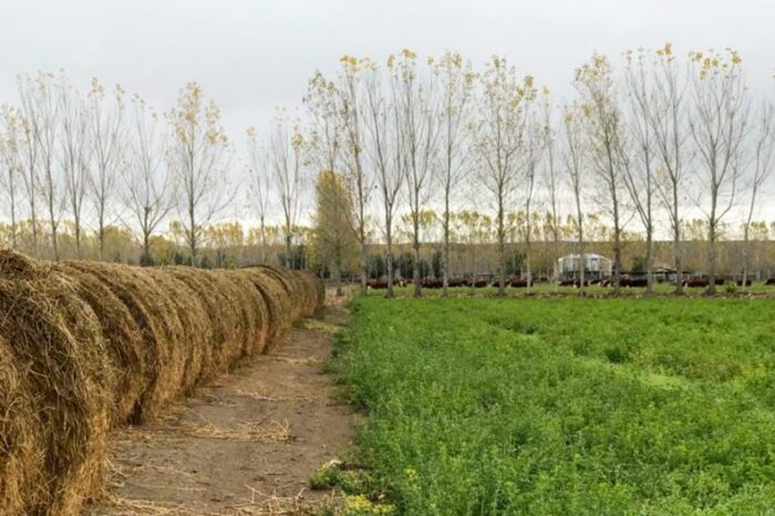 El Programa de Financiamiento de la Diversificación Productiva avanza paso firme