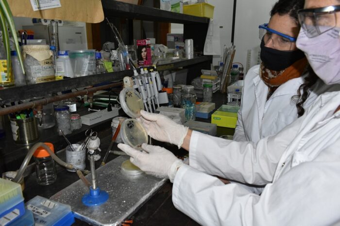 El INTA y Laboratorios Bagó suman esfuerzos para investigar sobre COVID-19