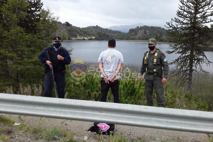 Ingresaron a país por Villa Pehuenia de manera ilegal y fueron demorados