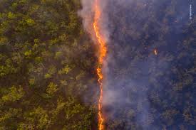 Premiaron una foto dramática de la devastación que dejó un incendio forestal en Australia