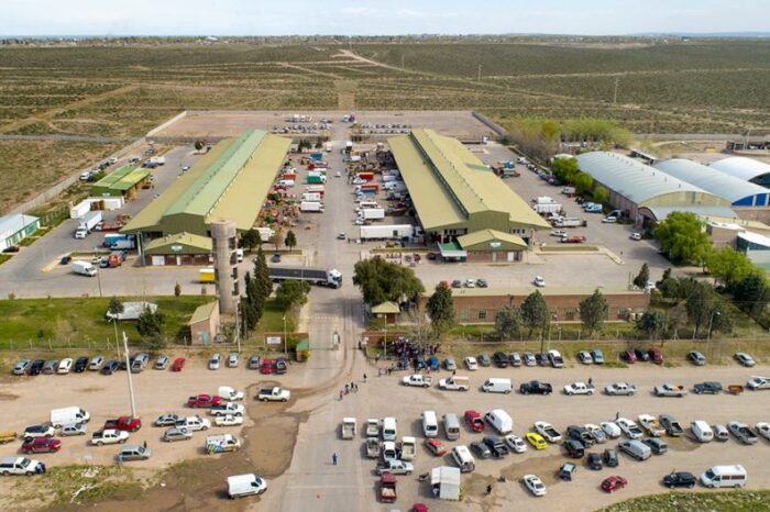 Refuerzan controles en la zona del Mercado Concentrador del Neuquén