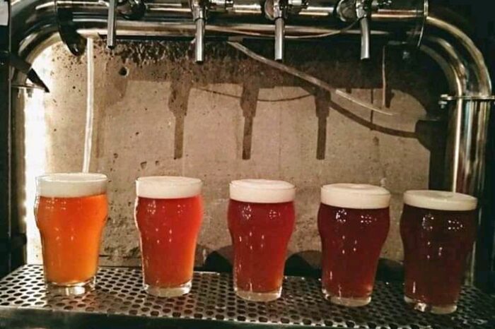 Restaurantes y bares se suman a “San Martín de los Andes Parque Cervecero” con platos y promociones