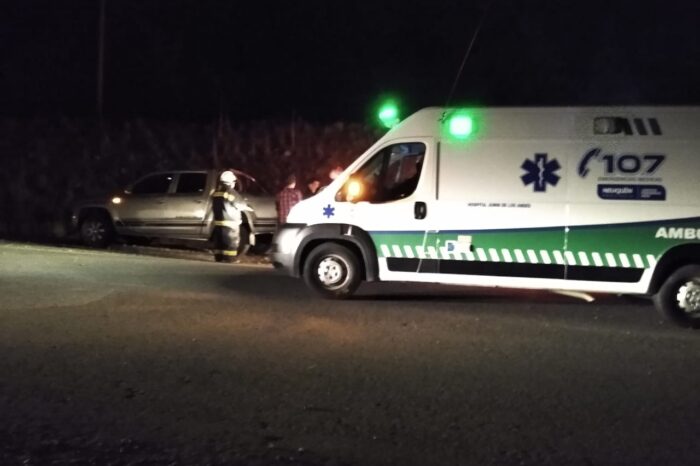 Se le cruzó un animal en la ruta, volanteó y despistó