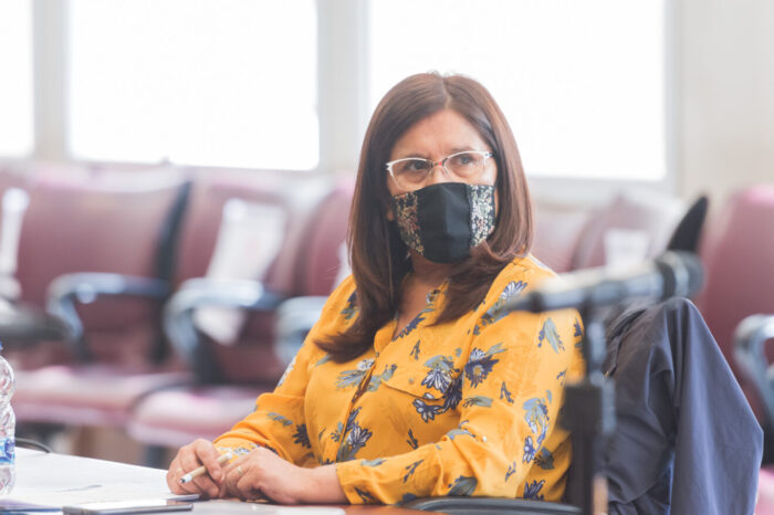 Pedidos de informes por mantenimiento y reparación de rutas en el norte neuquino