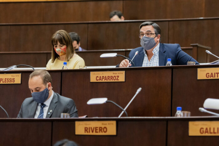 Diputados, proponen suspender hasta el fin de la pandemia las subastas de bienes utilizados por prestadores de salud