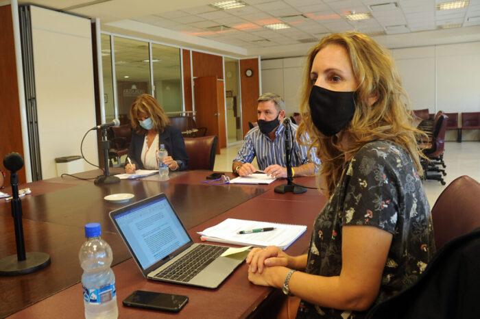 Avanza el debate por el Fondo de Garantías del Neuquén