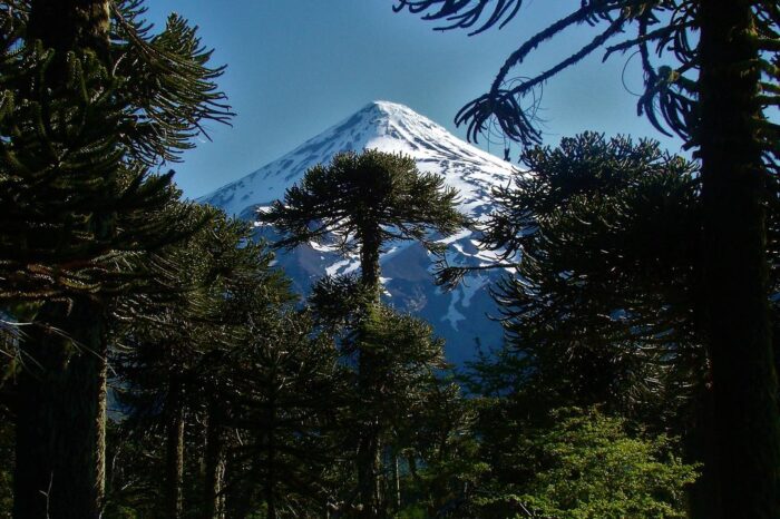 Se volvió a habilitar los ascensos al Volcán Lanín