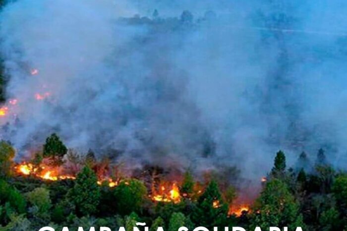 #campañasolidaria: Los incendios nuestra Patagonia provocaron la pérdida de 40 mil hectáreas.