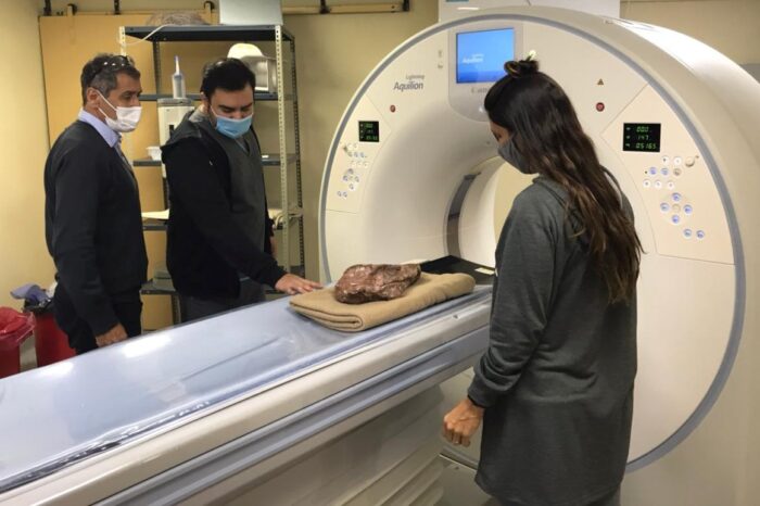 Realizan en Neuquén tomografías a un cráneo de un cocodrilo prehistórico descubierto en la localidad de Añelo.