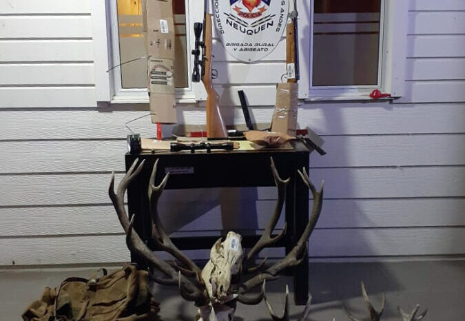 Furtivo: Secuestran armas largas, municiones, silenciador, cabezas de ciervo colorado y jabalí en allanamiento